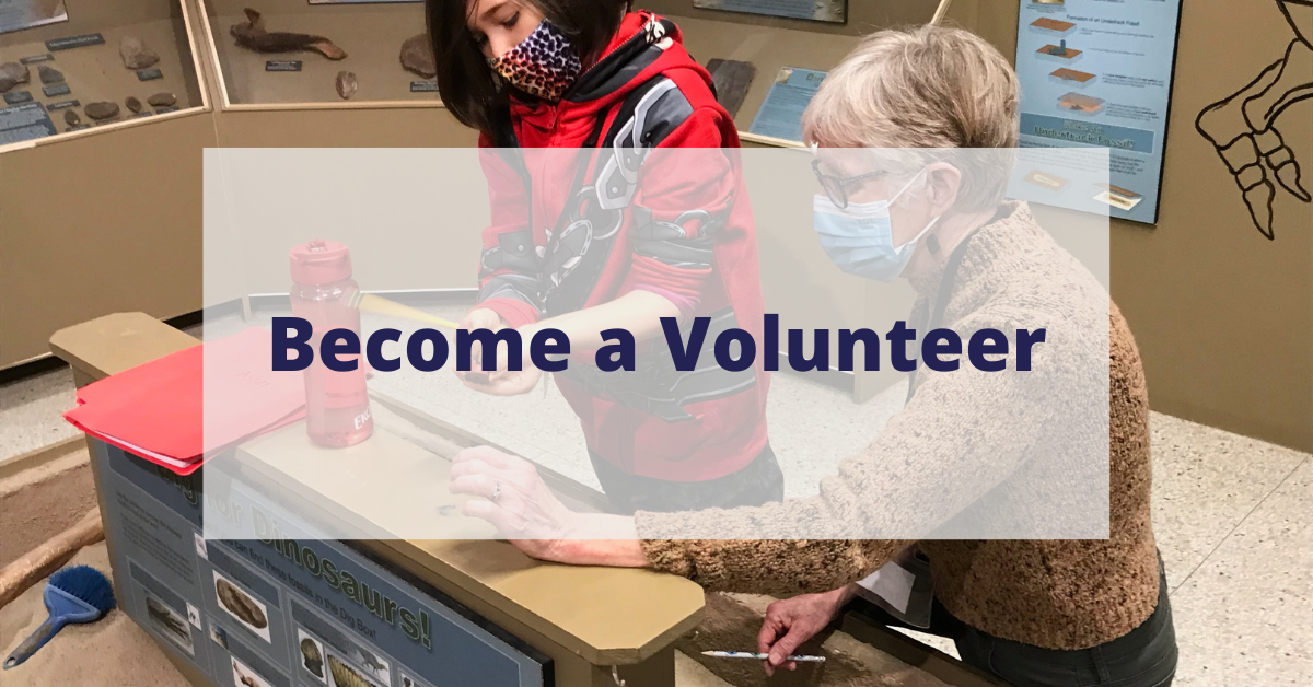 Volunteer Volunteer