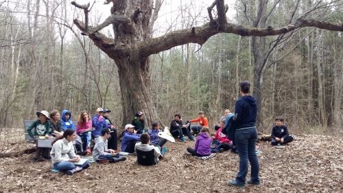 BCK students journaling in nature at Little Cat Conservation Centre